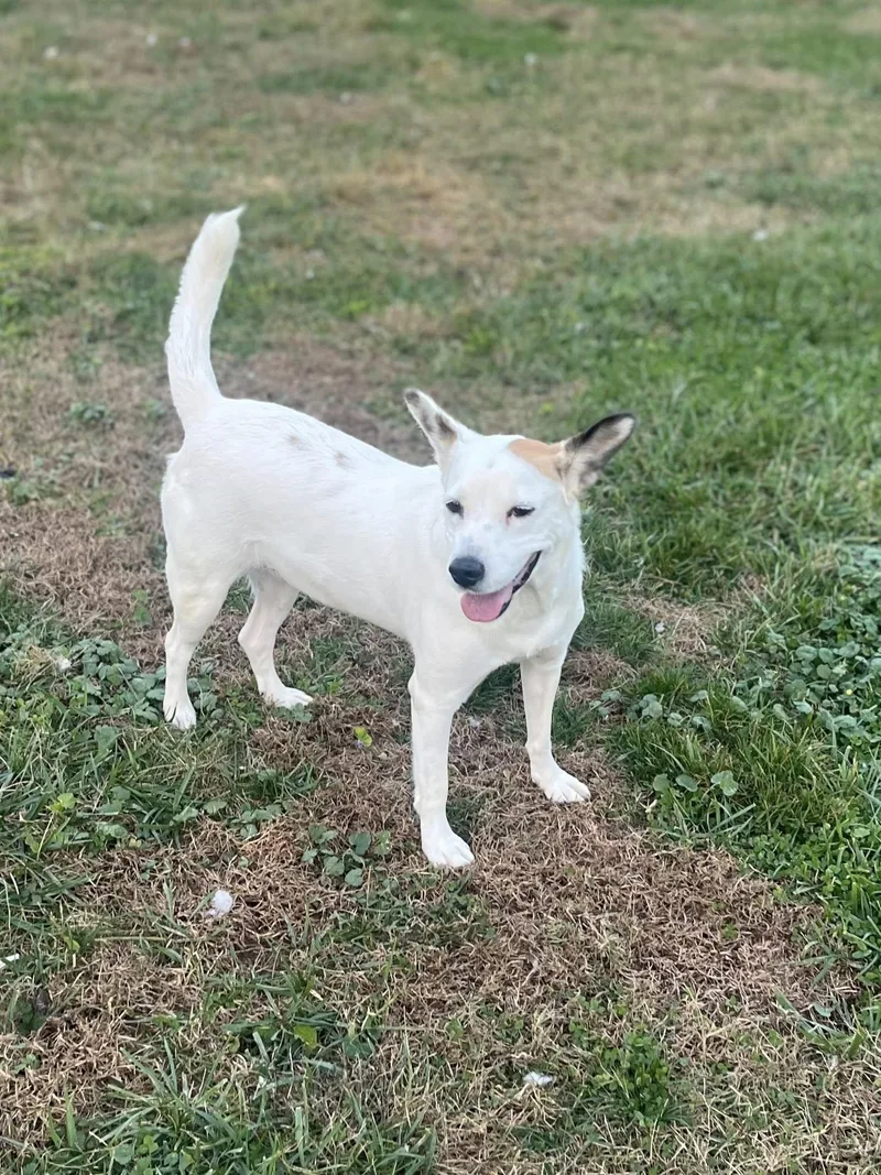 Meredith Grey thumbnail 4