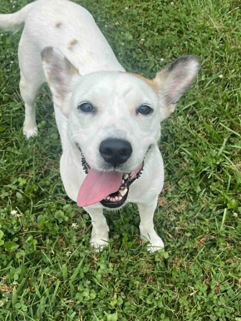 Meredith Grey thumbnail 5