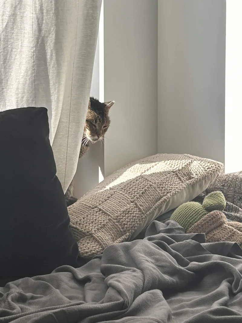 Willie One Eye thumbnail 3