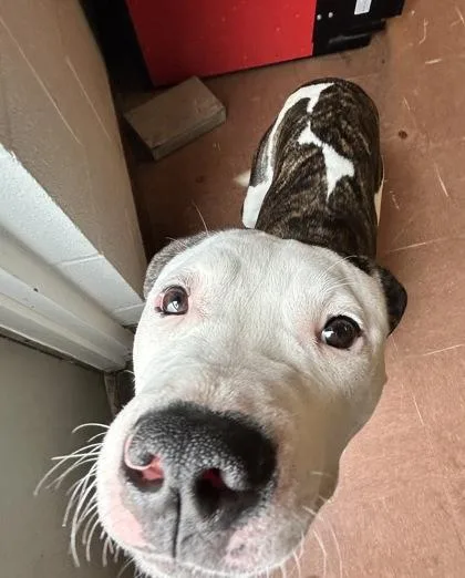 Graffiti thumbnail 2