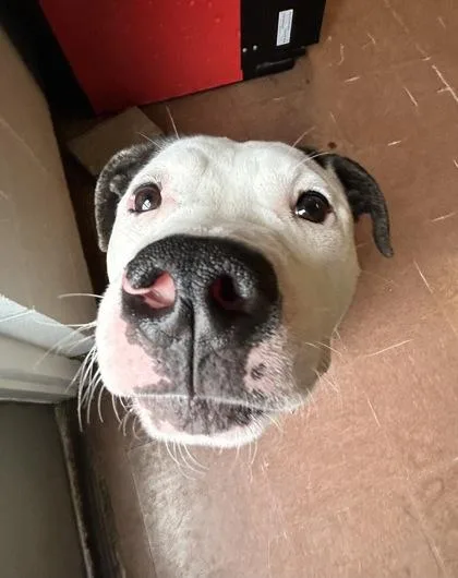 Graffiti thumbnail 3