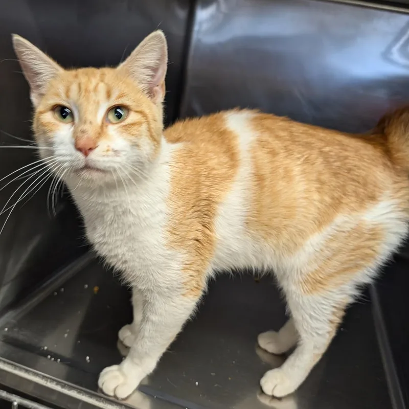 Mackenzie thumbnail 2