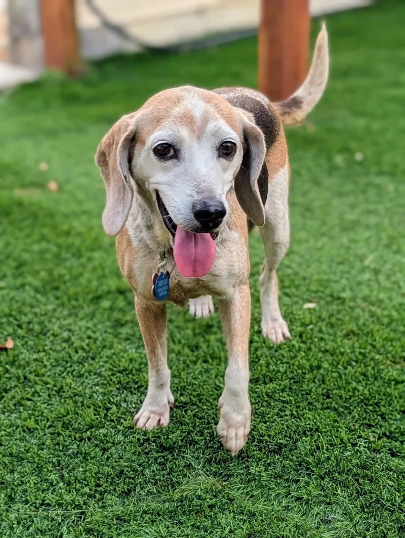 Louise Ii thumbnail 2