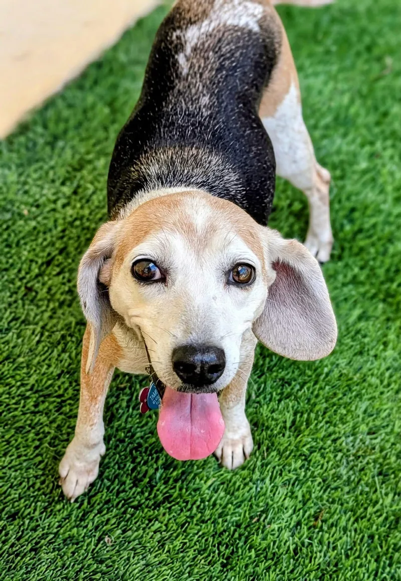 Louise Ii thumbnail 3