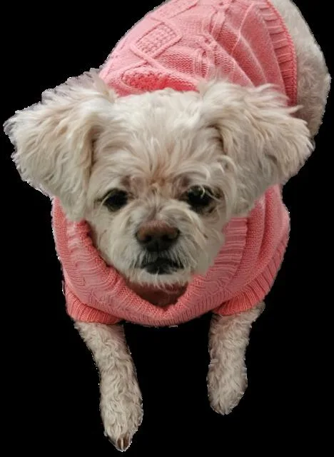 Honey  Bonded To thumbnail 2