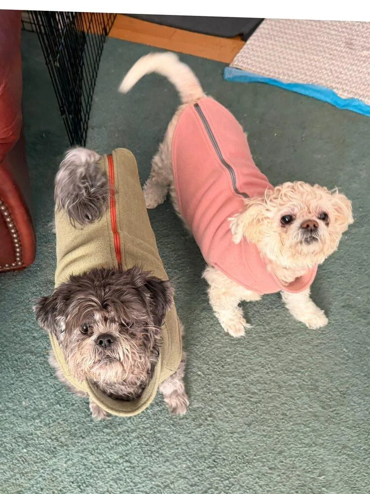 Honey  Bonded To thumbnail 5