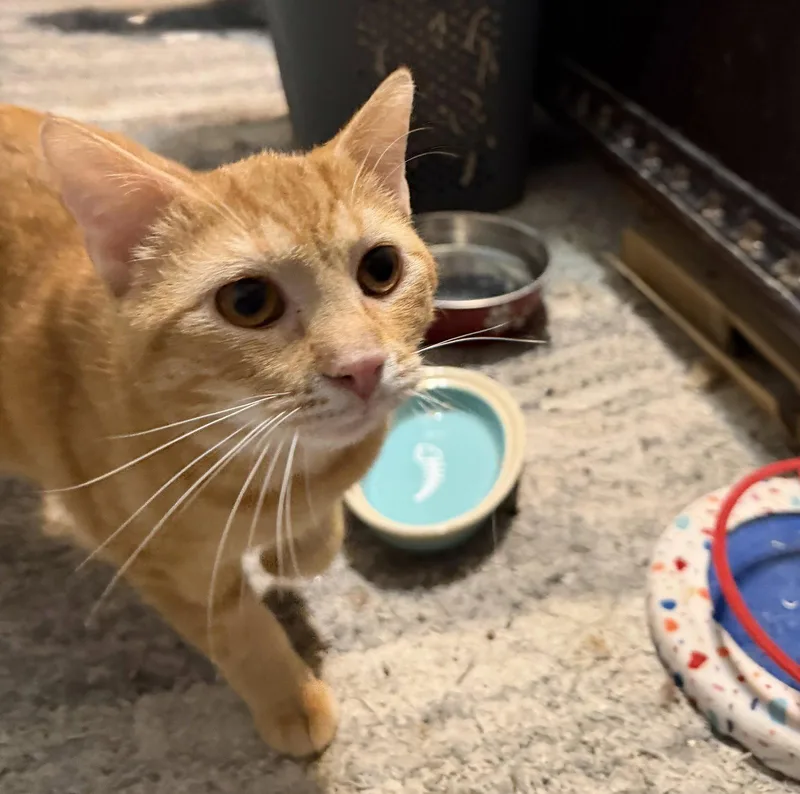 Bright Eyes thumbnail 2