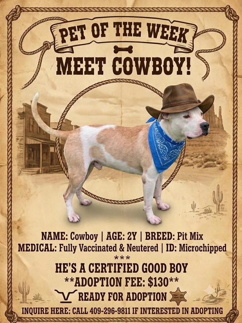 Cowboy