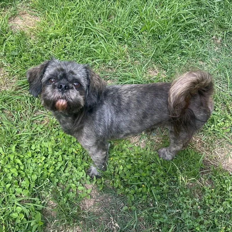 Kier Eagan thumbnail 2