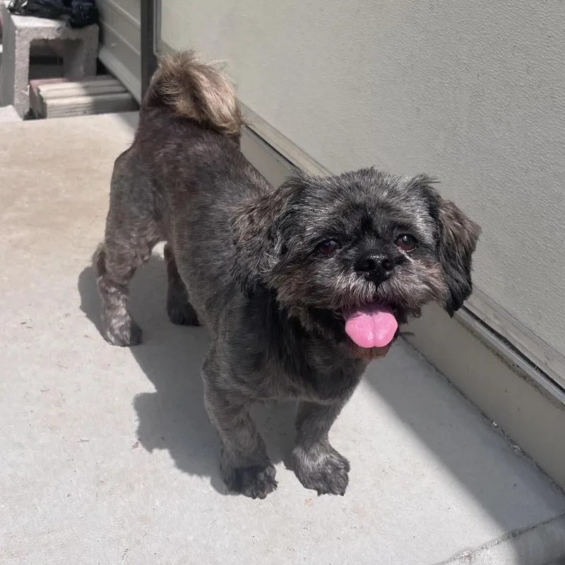 Kier Eagan thumbnail 3