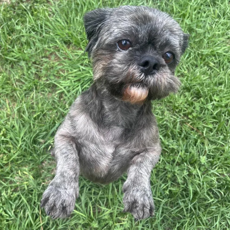 Kier Eagan thumbnail 4