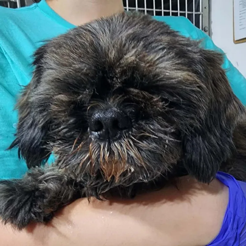 Kier Eagan thumbnail 5