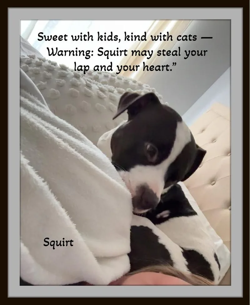 Oreo  When Life thumbnail 4