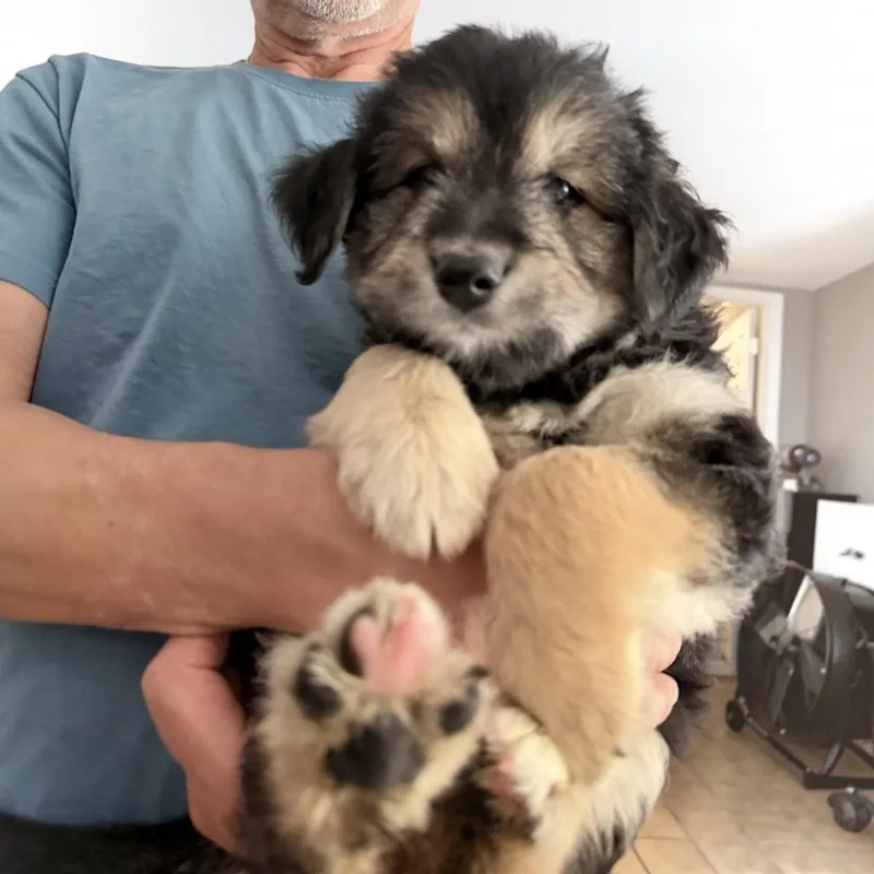Blake thumbnail 2