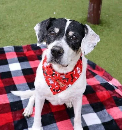 Bunny Athens thumbnail 2