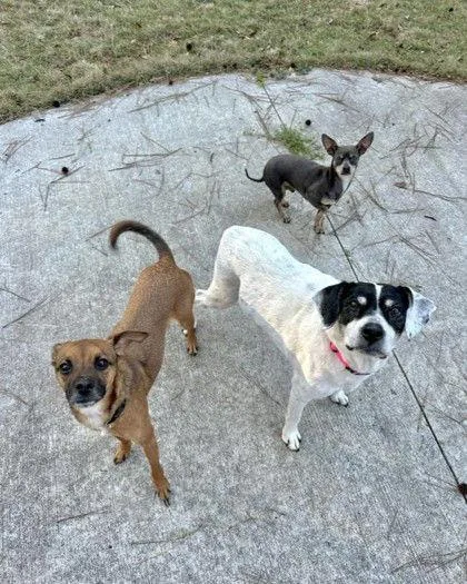 Bunny Athens thumbnail 3