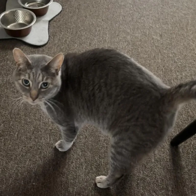 Jax  Home To thumbnail 2