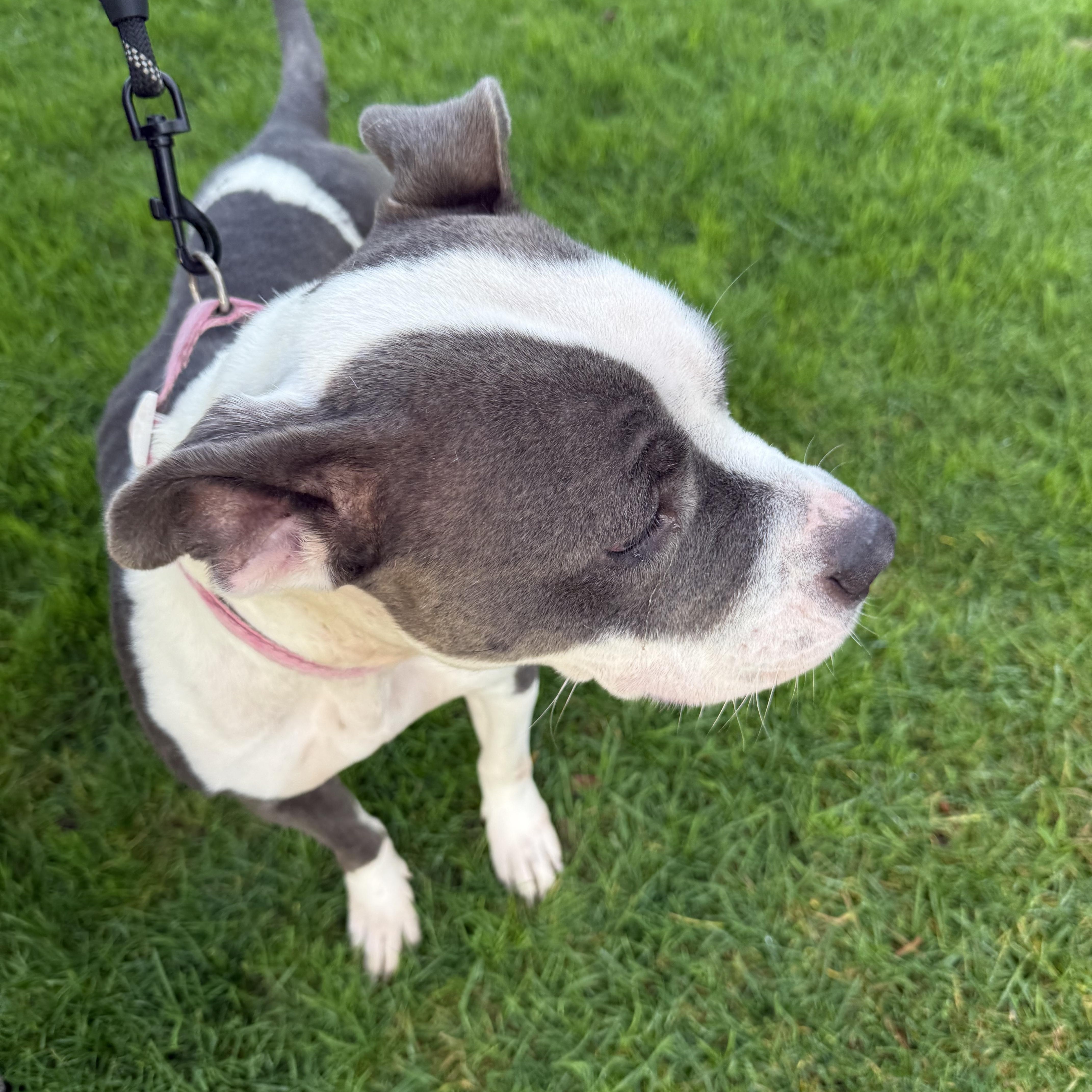 Josie Jo thumbnail 5