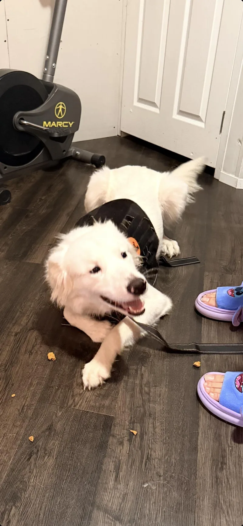 Hopper Htx thumbnail 2