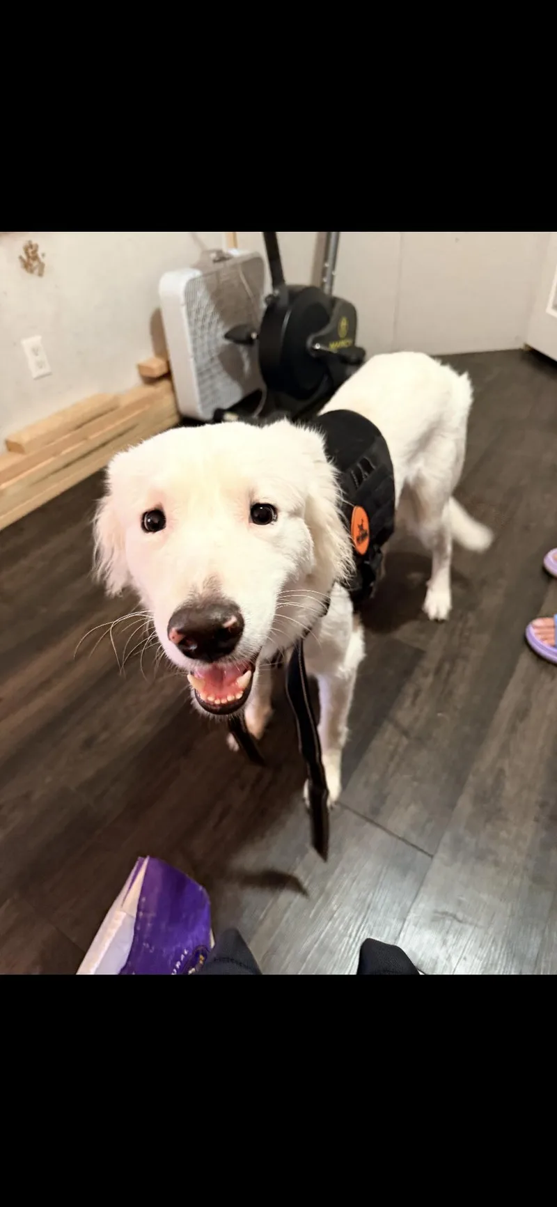 Hopper Htx thumbnail 3