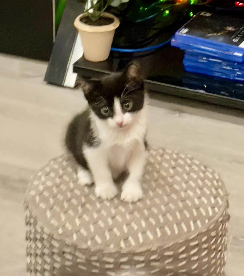 Max & Leo thumbnail 2