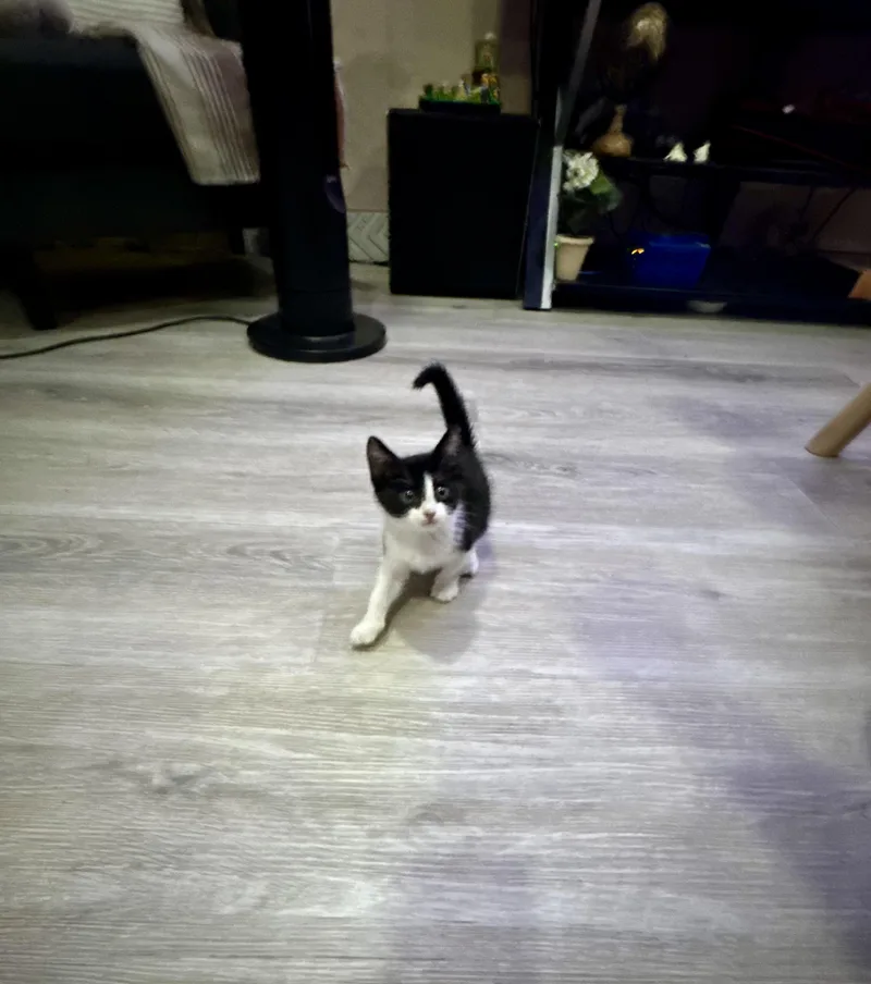 Max & Leo thumbnail 5