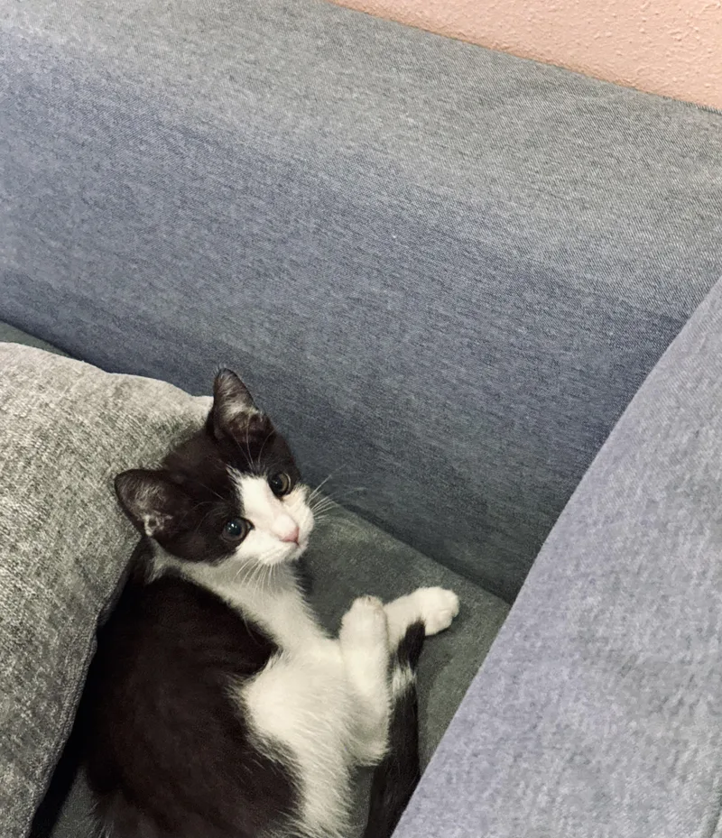 Max & Leo thumbnail 6