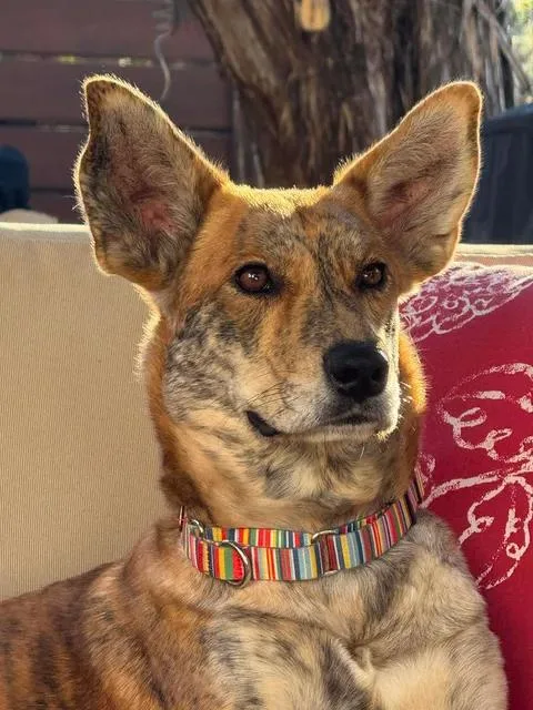 Larissa