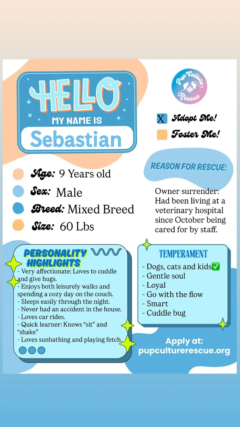 Sebastian thumbnail 6