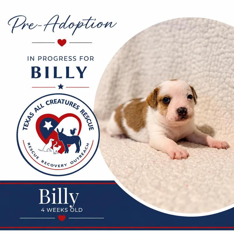 Billy