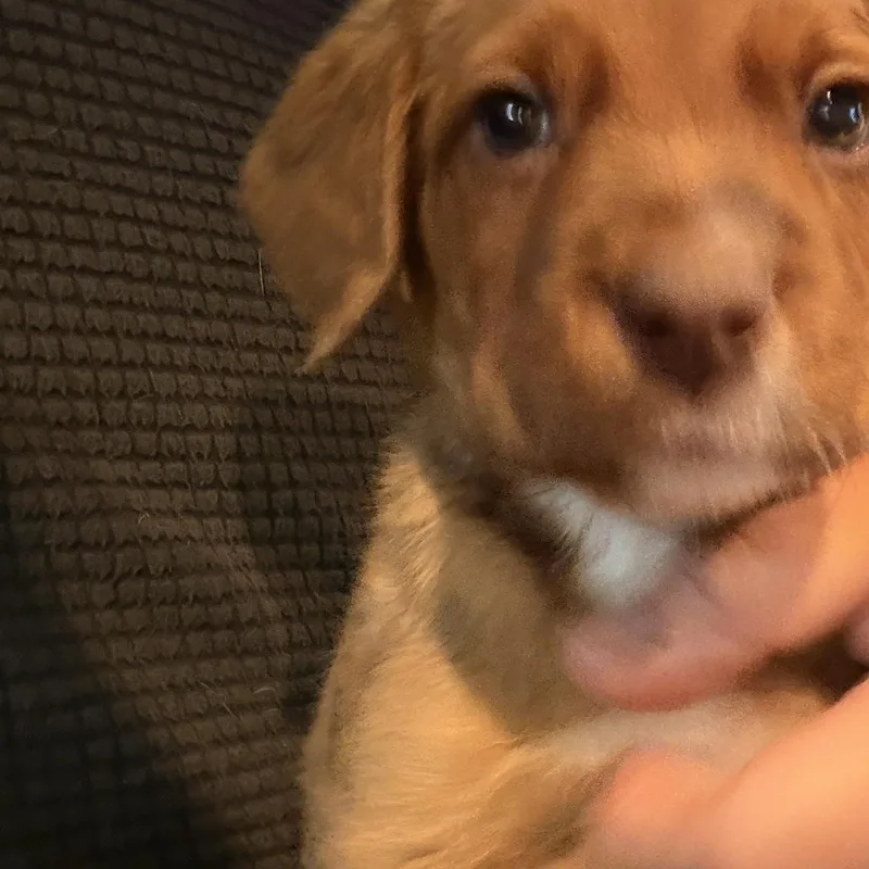 Zeus thumbnail 3