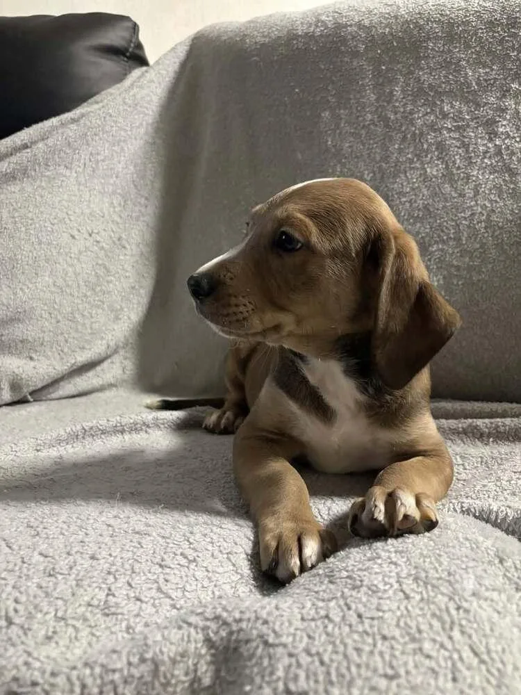 Jax