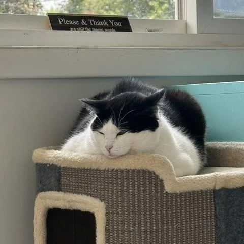 Mia
