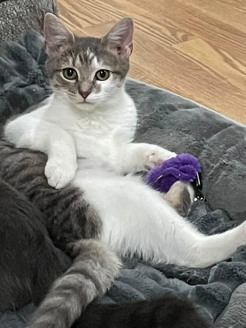 Haleigh thumbnail 2