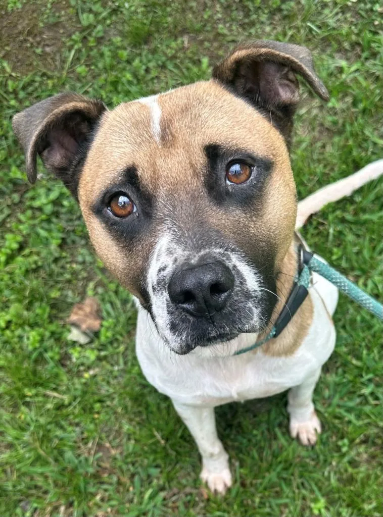 Irving Is Handsome  thumbnail 5