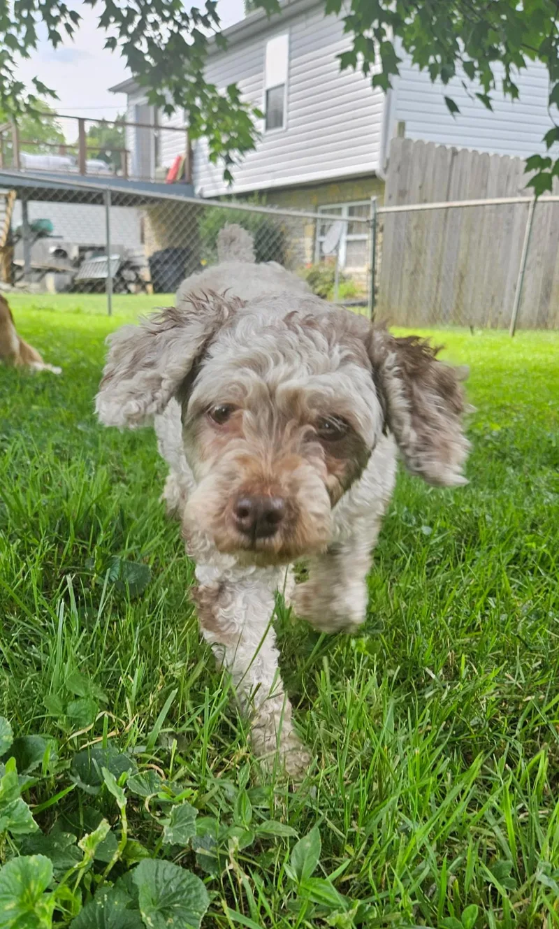 Sophie thumbnail 5