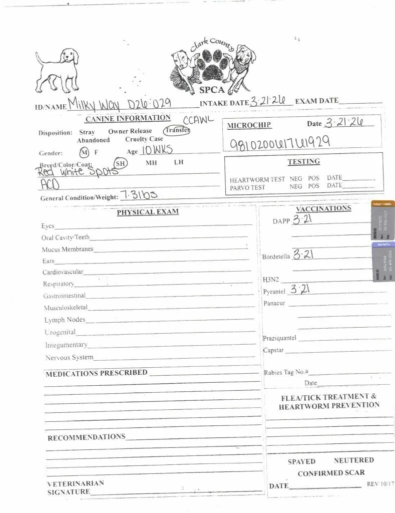 Milky Way thumbnail 2