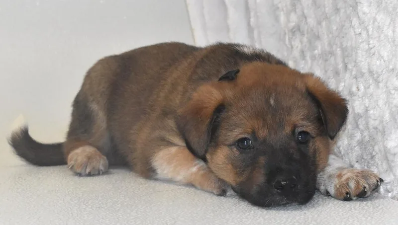 Milky Way thumbnail 3