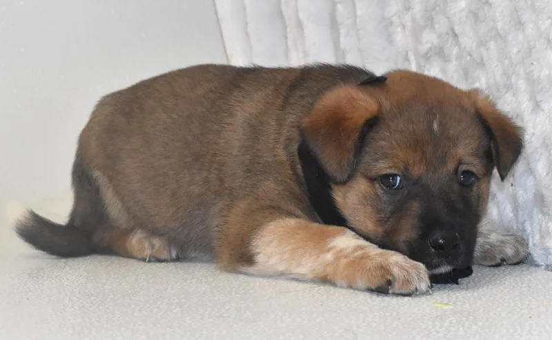 Milky Way thumbnail 4