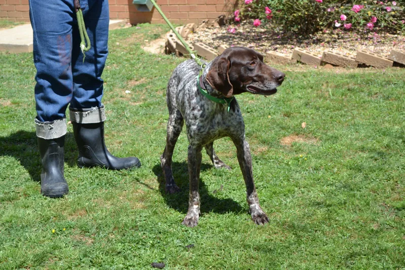 Gustafson thumbnail 2