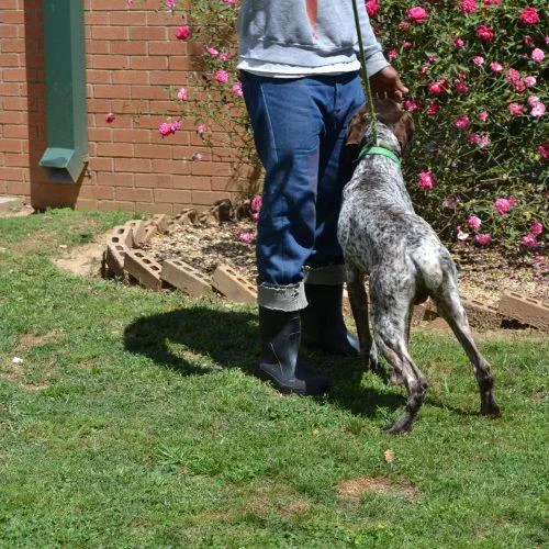 Gustafson thumbnail 3