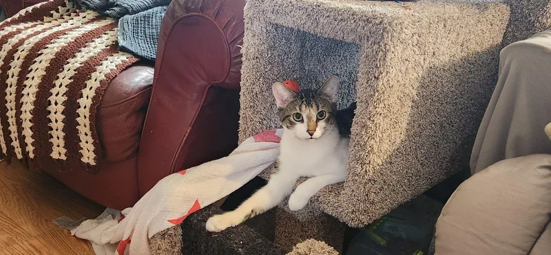 Leonardo And Michelangelo thumbnail 3