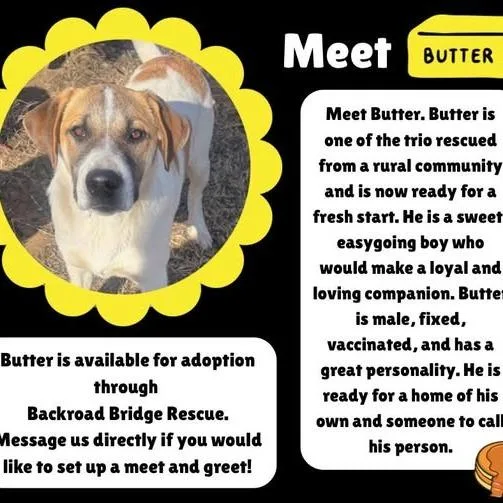 Butter thumbnail 2