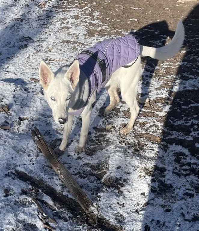 Laquayla thumbnail 2