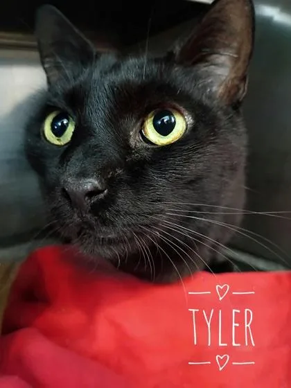 Tyler Bonded With Oliver thumbnail 2