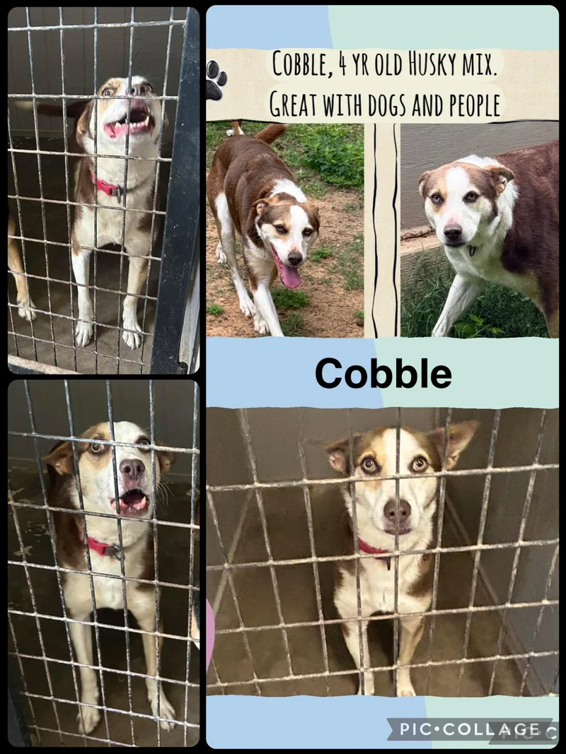 Cobble