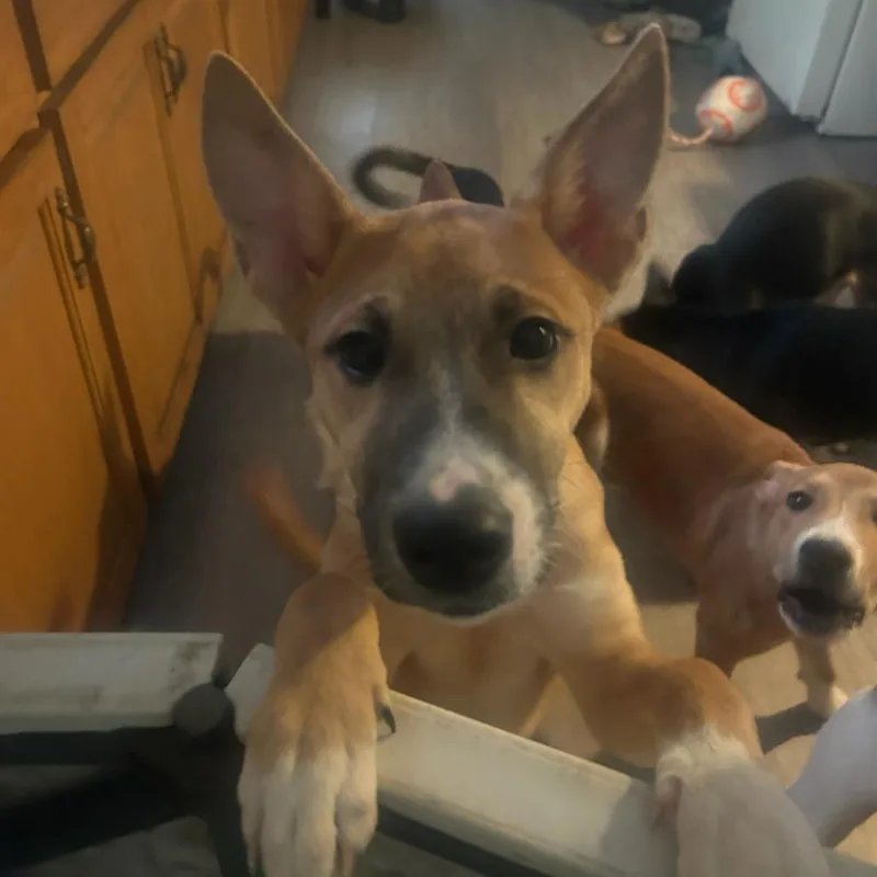 Nyla thumbnail 3