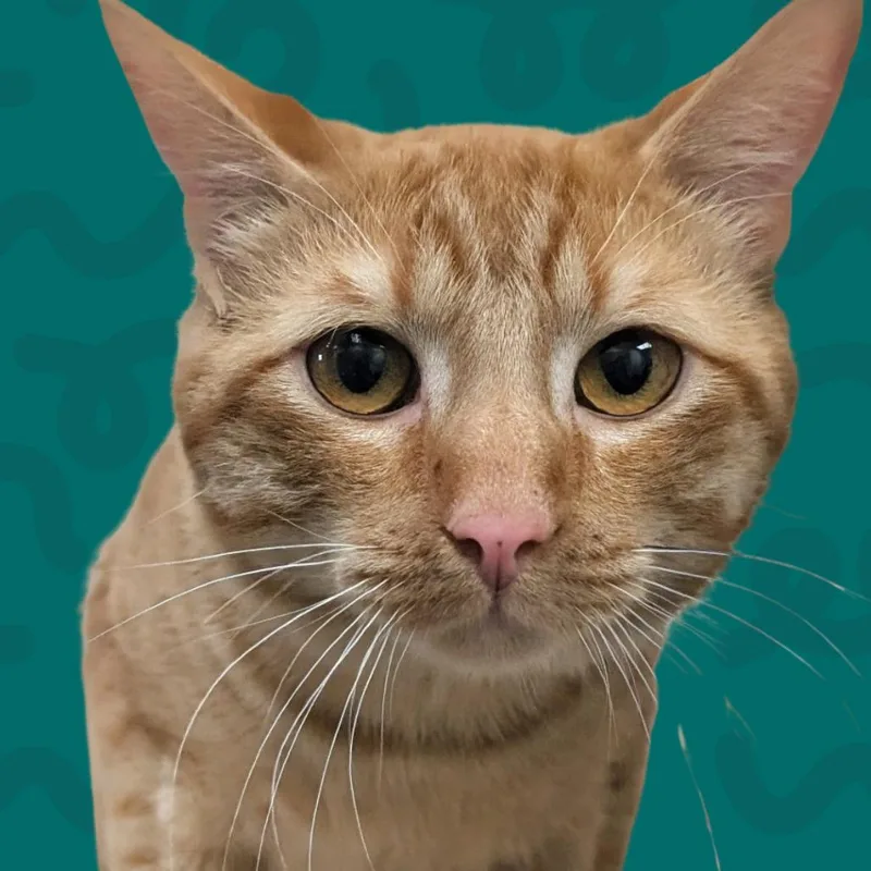 Timmy thumbnail 3