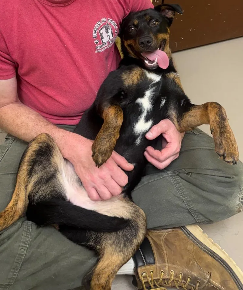 Cleopatra thumbnail 2