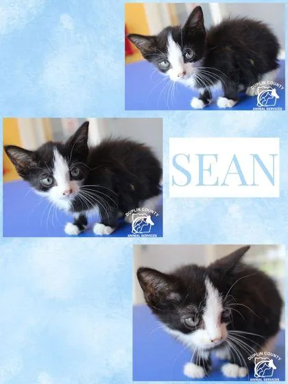 Sean